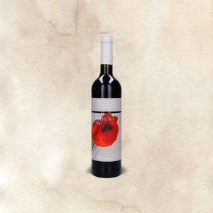 Vinho Adega Mayor Seleção Bio Tinto 2021 garrafa 750 ml
