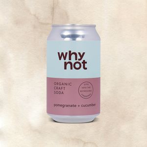 Craft Soda Why Not Pomegranate&Cucumber lata 330 ml