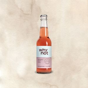 Organic Fruit Soda Why Not Pomegranate&Cucumber garrafa 330 ml