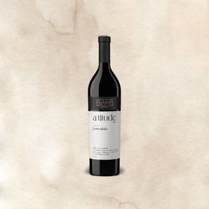 Vinho Adega Mayor Altitude Tinto 2022 garrafa 750 ml